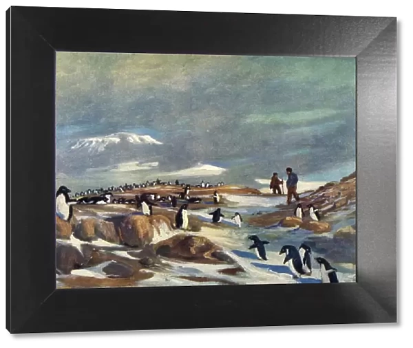 Return of the Penguins, c1908, (1909). Artist: George Marston