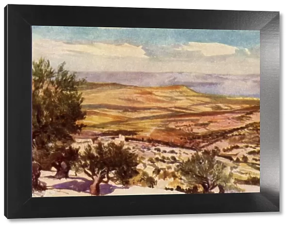 The Fields of Ruth and Boaz Near Bethlehem, 1902. Creator: John Fulleylove