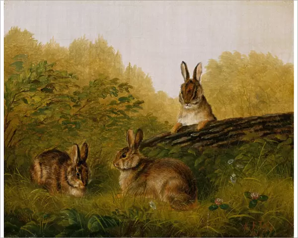 Rabbits on a Log, 1897. Creator: Arthur Fitzwilliam Tait
