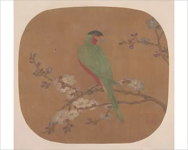 Parrot on Branch of Blossoming Tree. Creator: Unknown