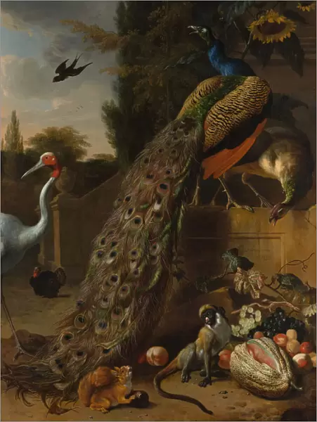 Peacocks, 1683. Creator: Melchior d Hondecoeter
