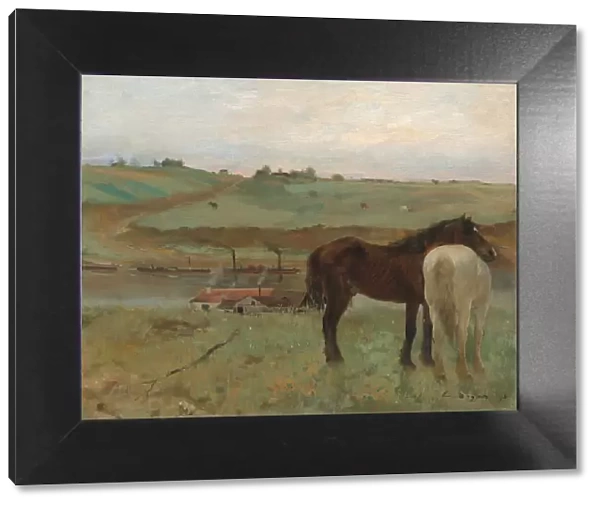 Horses in a Meadow, 1871. Creator: Edgar Degas