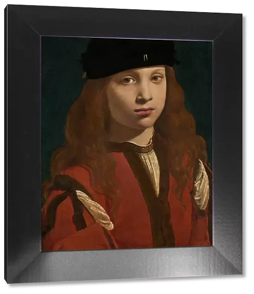 Portrait of a Youth, c. 1495  /  1498. Creator: Giovanni Antonio Boltraffio