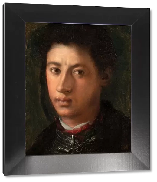 Alessandro de Medici, 1534  /  35. Creator: Jacopo Pontormo