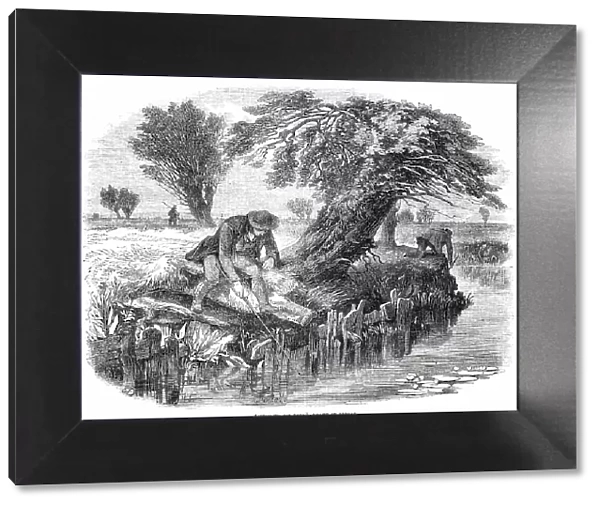 Sniggling for Eels - drawn by Duncan, 1850. Creator: M Jackson