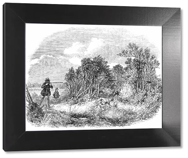 Pheasant-Shooting - drawn by Duncan, 1850. Creator: Unknown