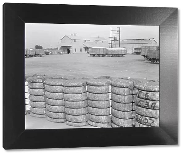 Kaweah Delta Cooperative cotton gin and yard, Tulare County, CA, 1938. Creator: Dorothea Lange
