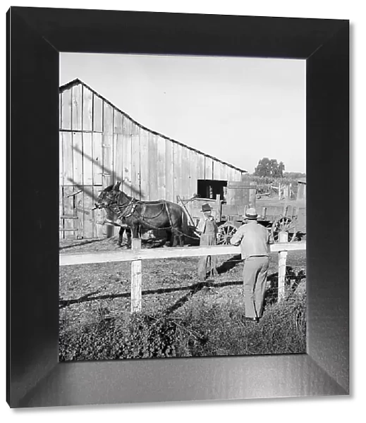 Farm Security Administration rural rehabilitation client, Tulare County, California, 1938. Creator: Dorothea Lange
