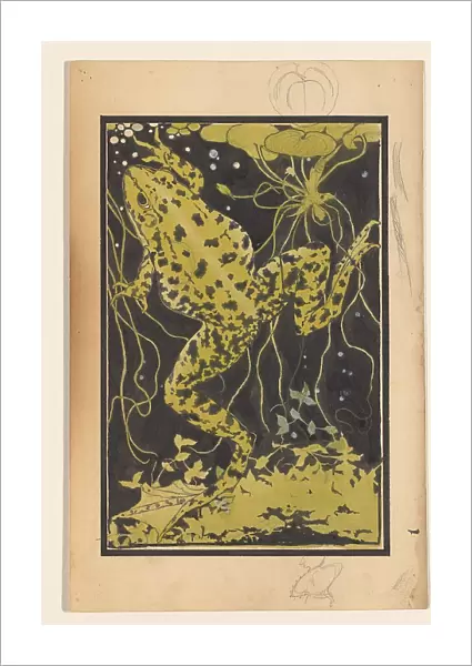 Frog in the water, 1887-1924. Creator: Julie de Graag
