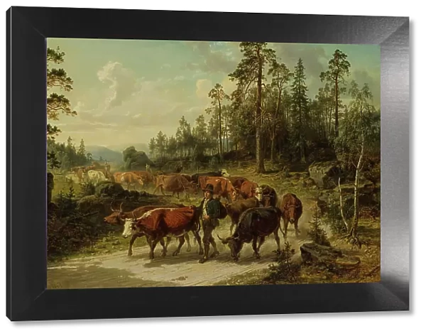 Driving Cattle in Småland, 1863. Creator: Nils Andersson