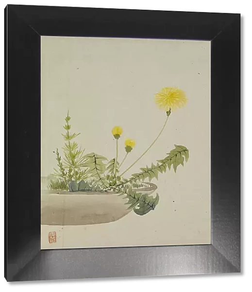 Leaf from Album Depicting Birds, Flowers, Landscapes, and Flower Pots, 1876. Creator: Yoshizawa Setsuan