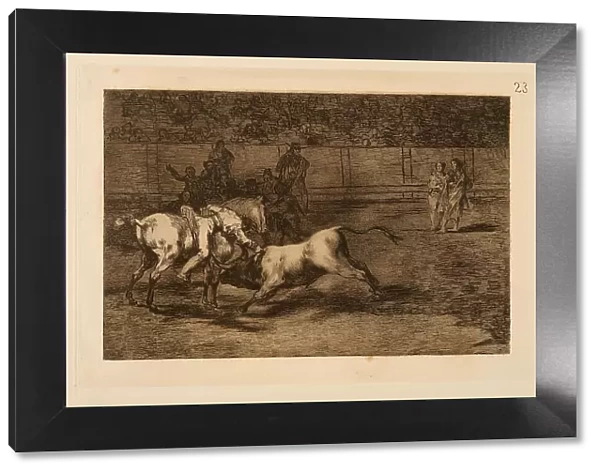La Tauromaquia: Mariano Ceballos, alias the Indian, kills the bull from his horse, 1815-1816. Creator: Goya, Francisco, de (1746-1828)