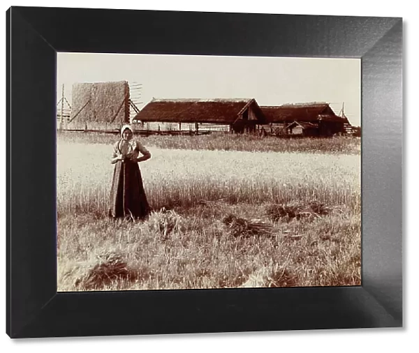 At harvest. Near the village of Byche, 1912. Creator: Sergey Mikhaylovich Prokudin-Gorsky