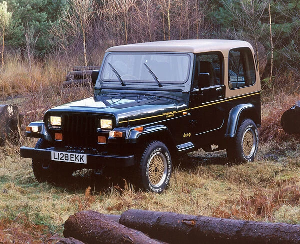 1994 Jeep Wrangler Limited. Creator: Unknown