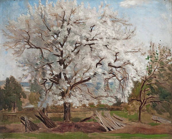 Apple Tree in Blossom, 1877. Creator: Carl Fredrik Hill