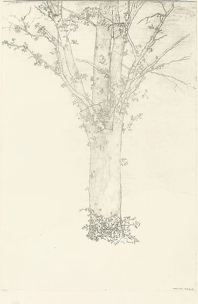 Arbre (Tree), 1892. Creator: Odilon Redon