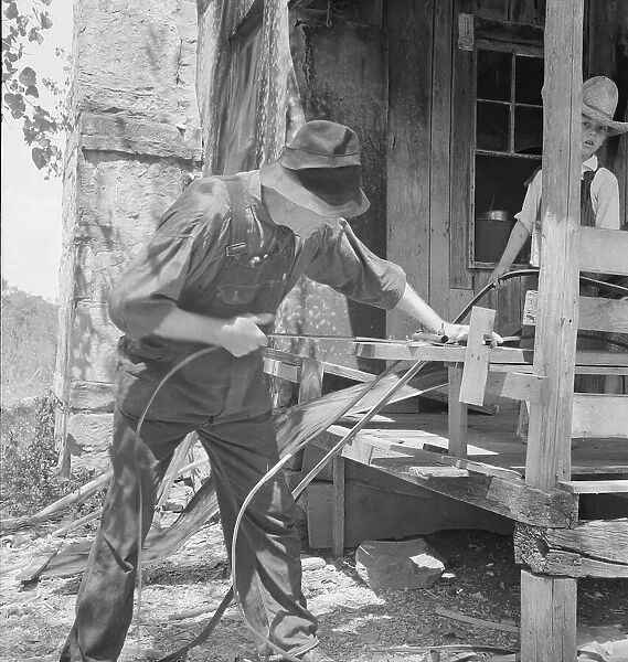 In Arkansas Hills (Ozarks) near Seligman, Missouri, splitting hickory for chair-bottoms, 1938. Creator: Dorothea Lange
