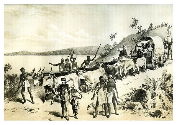 The Arrival at Lake Ngami, 1883