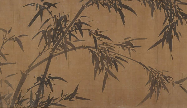 Bamboos. Creator: Unknown