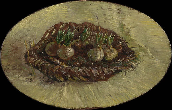 Basket of Hyacinth Bulbs, 1887. Creator: Gogh, Vincent, van (1853-1890)