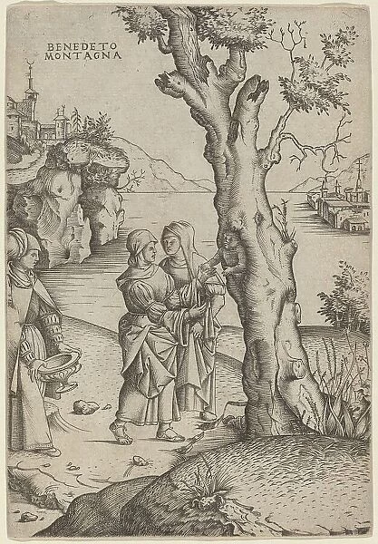 Birth of Adonis, c. 1515 / 1520. Creator: Benedetto Montagna