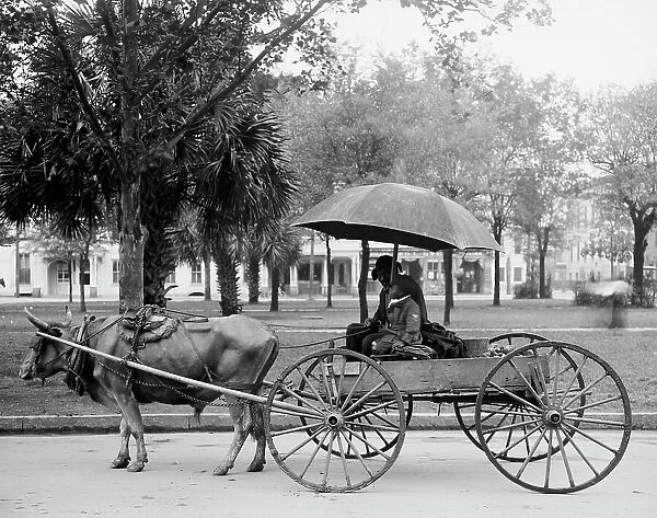 A Bovinmobile, Savannah, Ga. between 1900 and 1910. Creator: Unknown