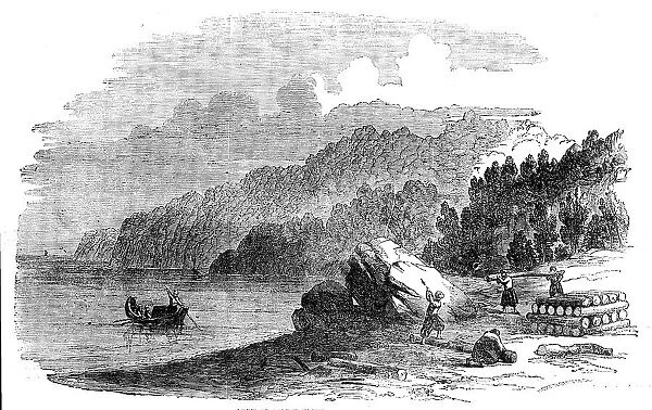 Boxwood Forest on the Shores of the Black Sea, 1858. Creator: Harvey Orrin Smith