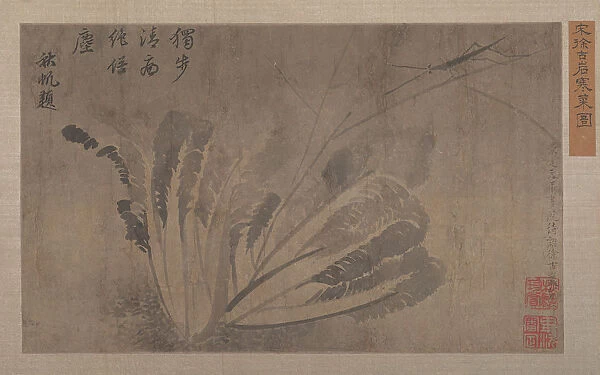 Cabbage and Insects. Creator: Xu Daoguang