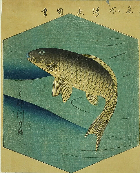 Carp in the Tone River (Tonegawa no koi), section of a sheet from the series 'Cutout... 1857. Creator: Ando Hiroshige. Carp in the Tone River (Tonegawa no koi), section of a sheet from the series 'Cutout... 1857. Creator: Ando Hiroshige