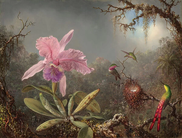 Cattleya Orchid and Three Hummingbirds, 1871. Creator: Martin Johnson Heade