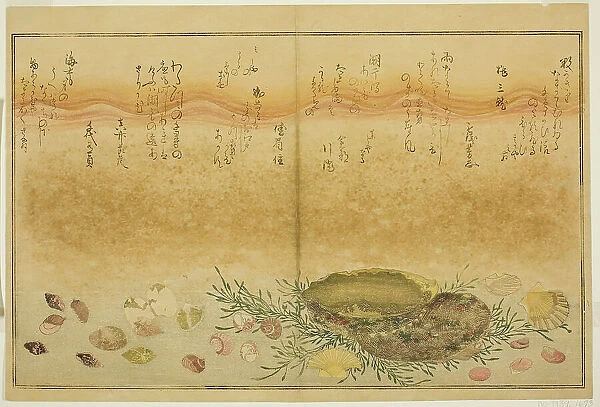 Chidori-gai, itaya-gai, awabi, utsuse-gai, asari-gai, and monoara-gai, from the illustrated...1789. Creator: Kitagawa Utamaro