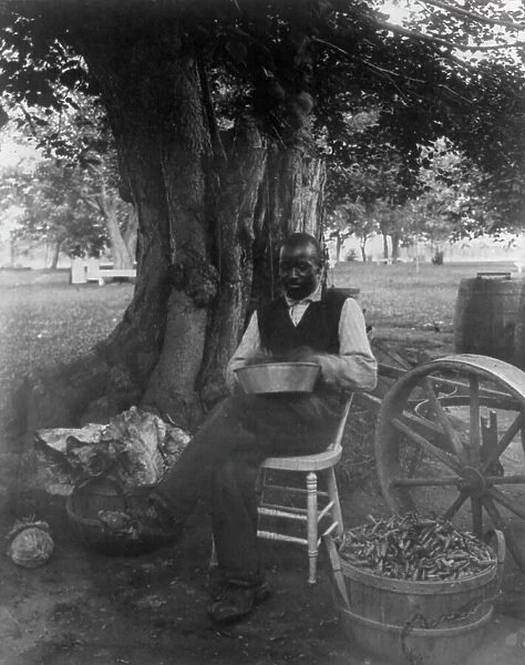 The cook at Marshall Hall, seated outdoors, shelling peas?, c1890. Creator: Frances Benjamin Johnston