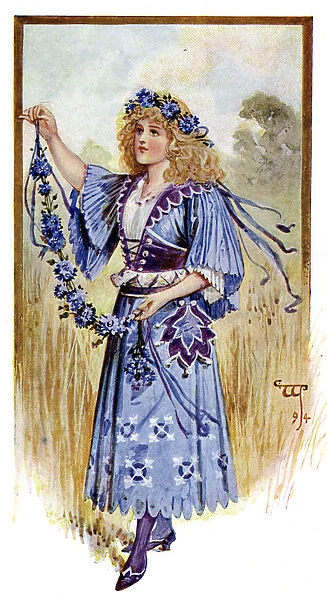 The Cornflower, 1899
