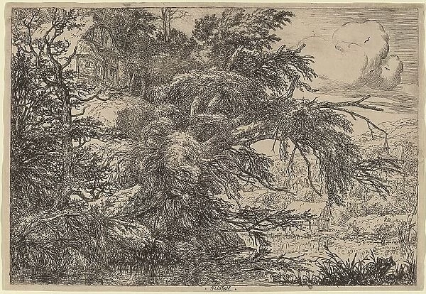 Cottage on a Hill. Creator: Jacob van Ruisdael