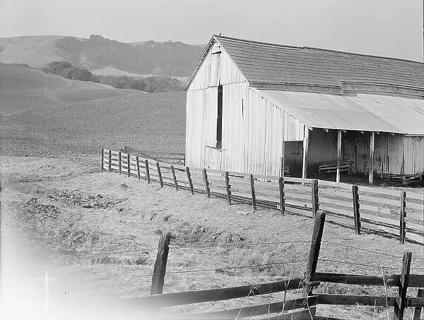 Cowbarn and hills, California dairy ranch, Contra Costa County, California, 1938. Creator: Dorothea Lange