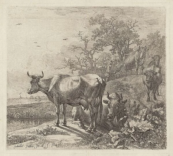 The Cowherd, 1643 (printed 1868?). Creator: Paulus Potter
