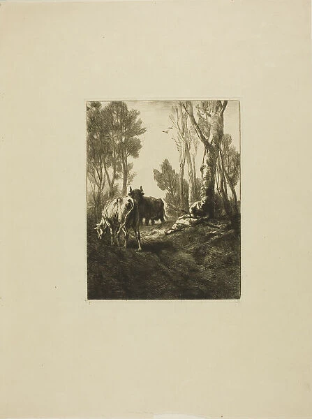 Cowherd, n. d. Creator: Charles Emile Jacque