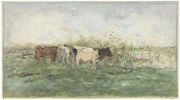 Cows at a puddle, 1844-1910. Creator: Willem Maris