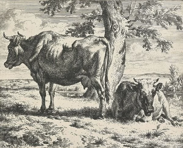 Cows and sheep. Plate 3: Two cows under a tree, 1650-1672. Creator: Adriaen van de Velde