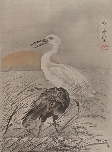 Cranes in Marsh, ca. 1887. Creator: Kawanabe Kyosai