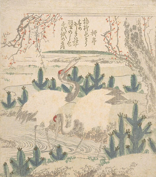 Cranes Among Young Pines Near a Stream, ca. 1830. Creator: Unknown