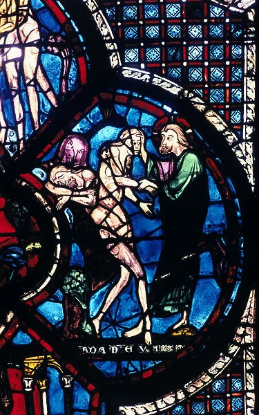 Creation of Eve, stained glass, Chartres Cathedral, France, 1205-1215