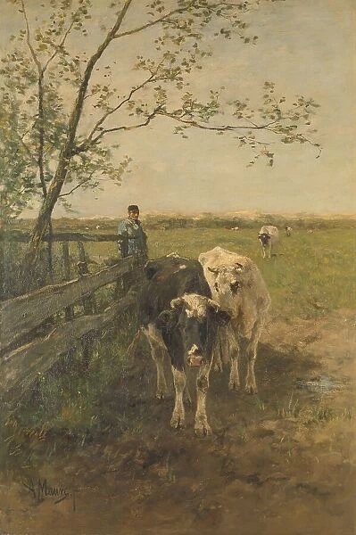 Dairy cows, 1870-1888. Creator: Anton Mauve