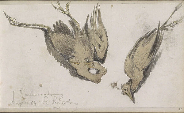 Dead Heron, 1864. Creator: Johannes Tavenraat