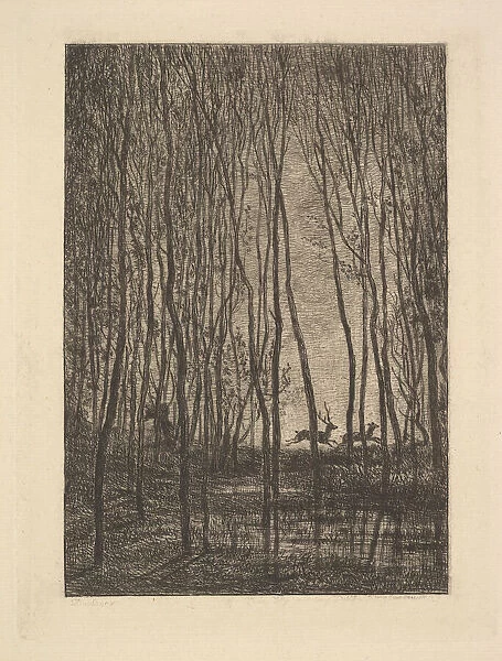 Deer in the Woods, 1850. Creator: Charles Francois Daubigny