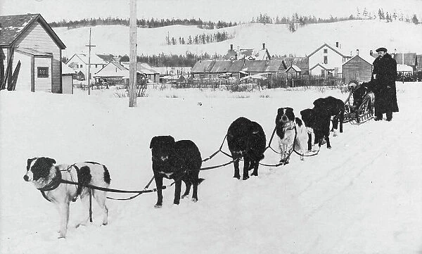 Dog sled team, between c1900 and c1930. Creator: Unknown