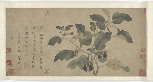 Eggplant, Yuan or Ming dynasty, 14th century. Creator: Unknown