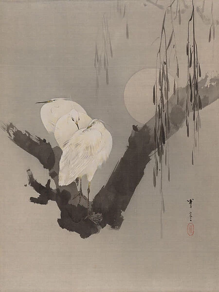 Egrets in a Tree at Night, ca. 1887. Creator: Watanabe Seitei