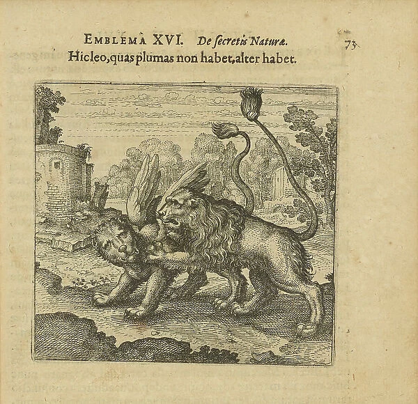 Emblem 16. This lion has no feathers, but that one has. From 'Atalanta fugiens' by Michael... 1618. Creator: Merian, Matthäus, the Elder (1593-1650). Emblem 16. This lion has no feathers, but that one has