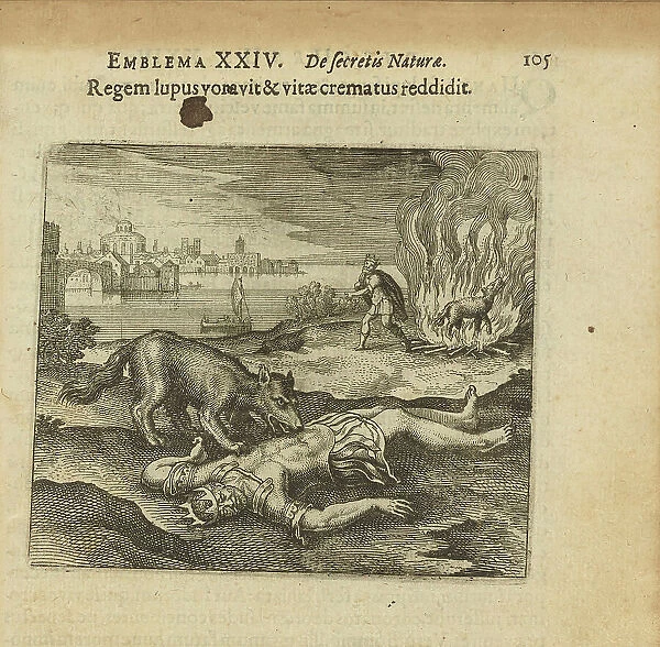 Emblem 24. The wolf ate the king, and how he burned the life back to him, 1618. Creator: Merian, Matthäus, the Elder (1593-1650)